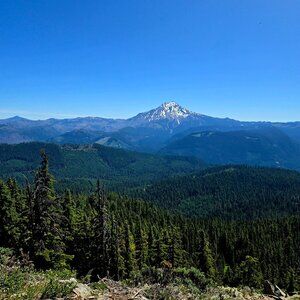 Meet your Posher, Micha